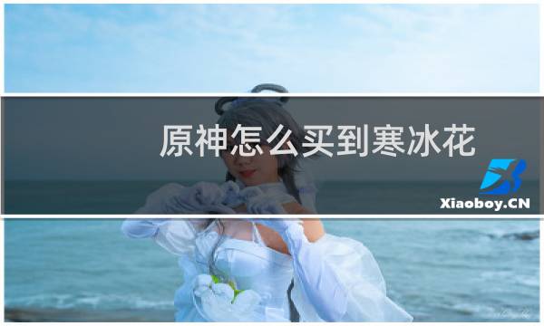原神怎么买到寒冰花