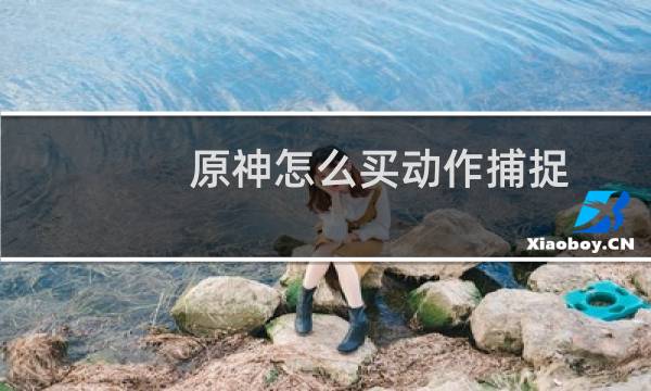 原神怎么买动作捕捉