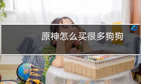 原神怎么买很多狗狗