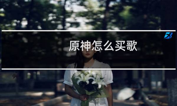 原神怎么买歌