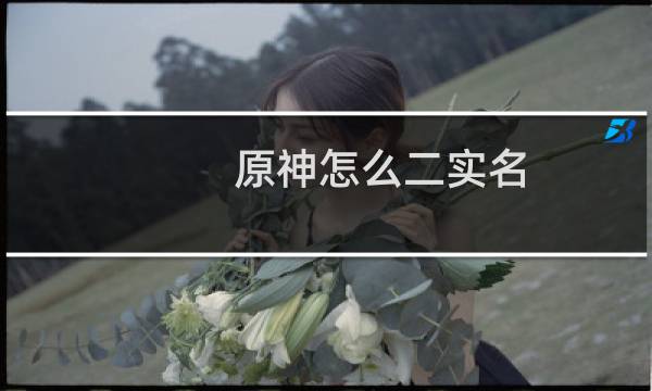 原神怎么二实名