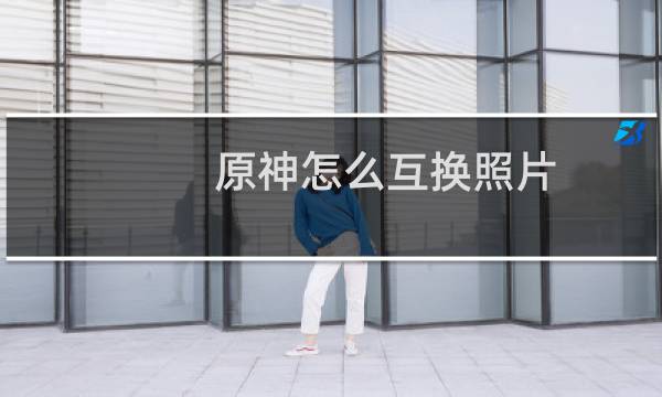 原神怎么互换照片