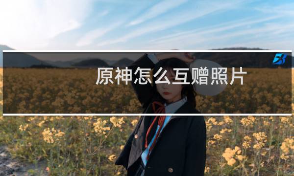 原神怎么互赠照片