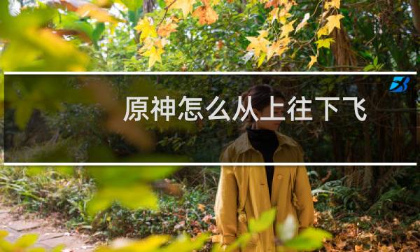 原神怎么从上往下飞
