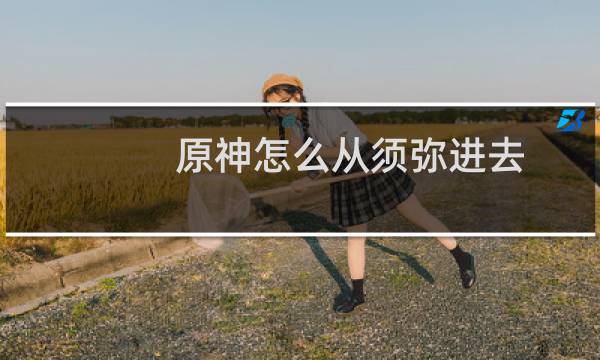 原神怎么从须弥进去