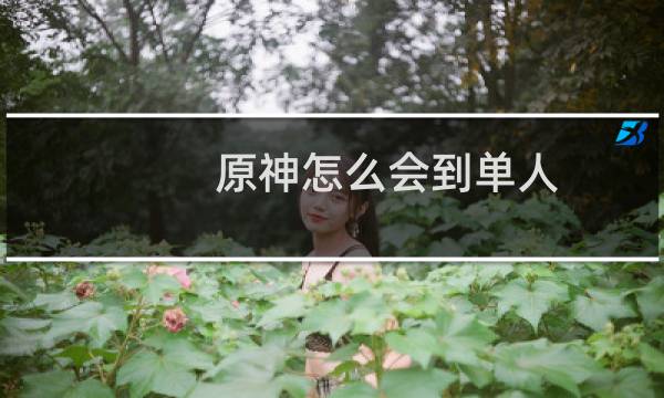 原神怎么会到单人
