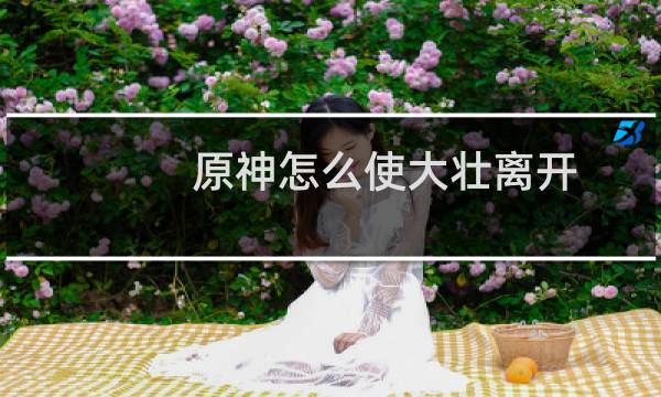 原神怎么使大壮离开