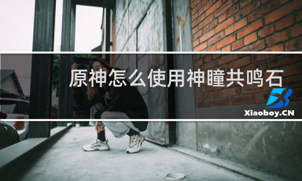 原神怎么使用神瞳共鸣石
