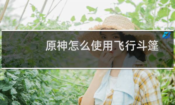 原神怎么使用飞行斗篷