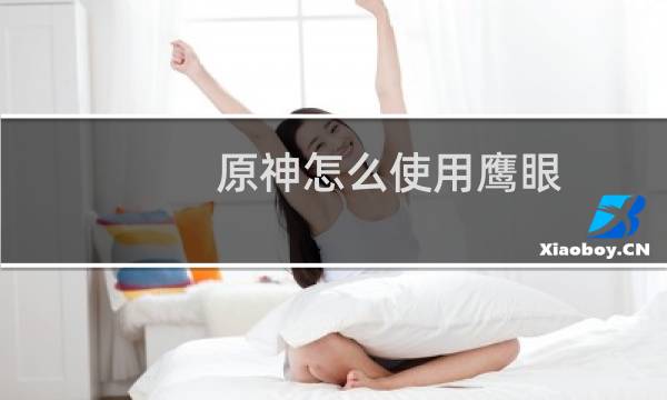 原神怎么使用鹰眼