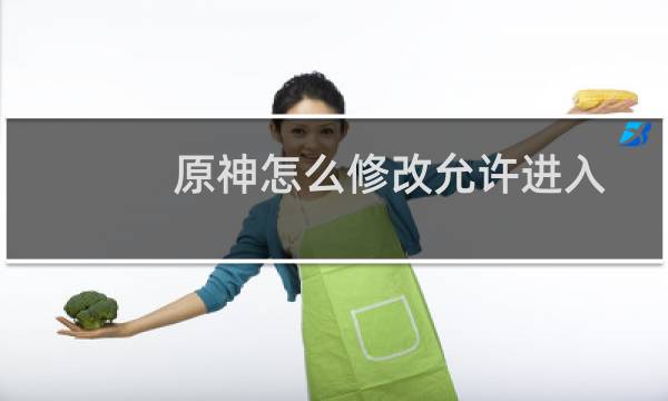 原神怎么修改允许进入