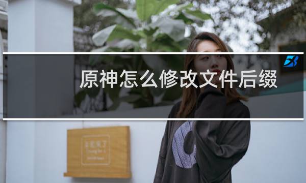 原神怎么修改文件后缀