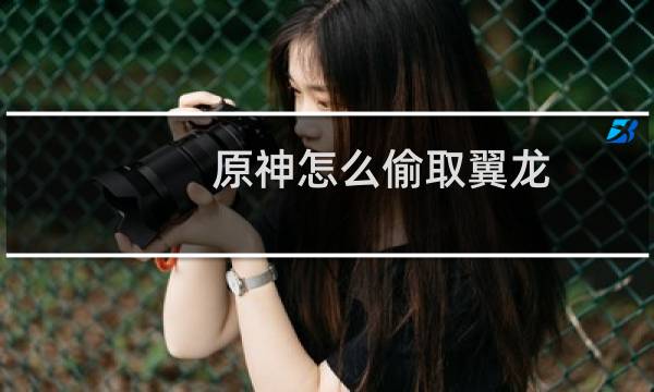 原神怎么偷取翼龙
