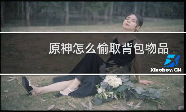 原神怎么偷取背包物品