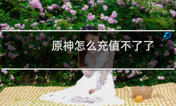 原神怎么充值不了了