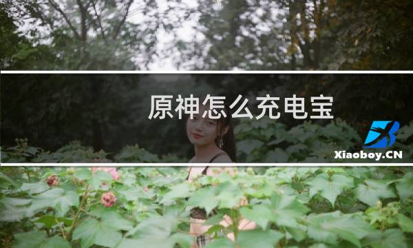 原神怎么充电宝