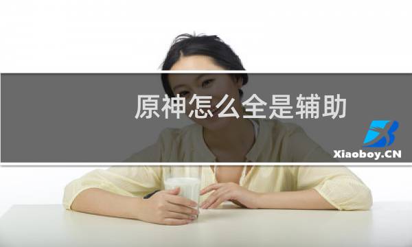 原神怎么全是辅助
