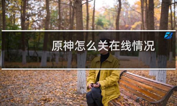 原神怎么关在线情况