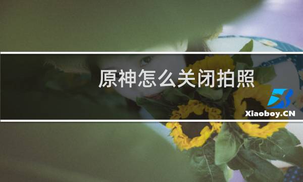 原神怎么关闭拍照