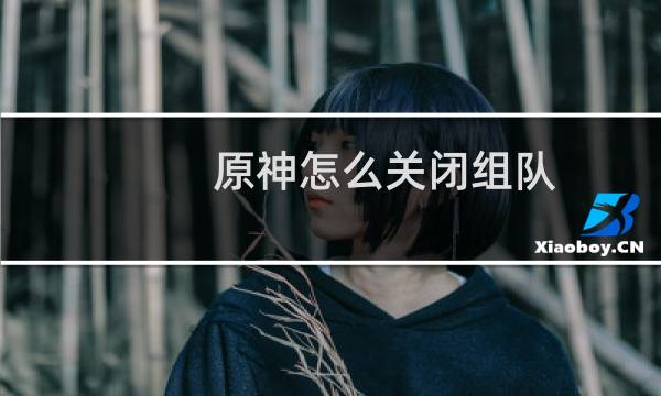 原神怎么关闭组队