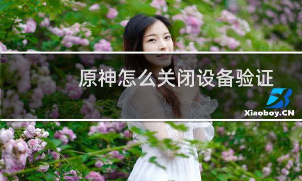 原神怎么关闭设备验证