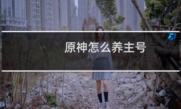 原神怎么养主号