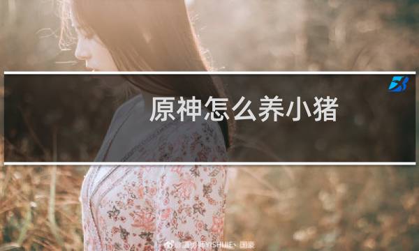 原神怎么养小猪