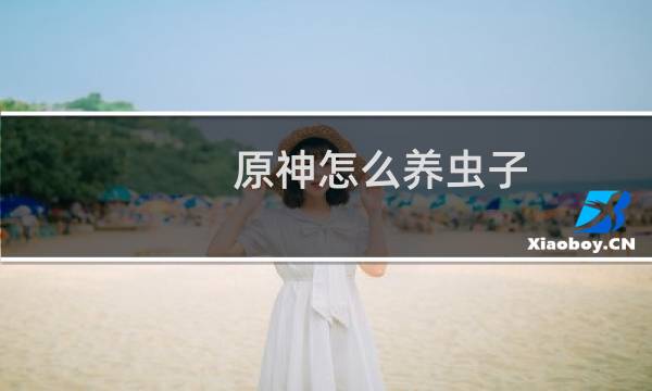 原神怎么养虫子