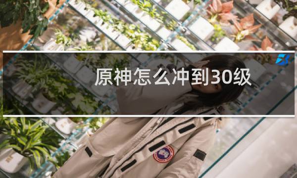 原神怎么冲到30级