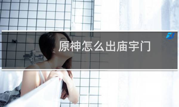 原神怎么出庙宇门