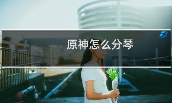 原神怎么分琴