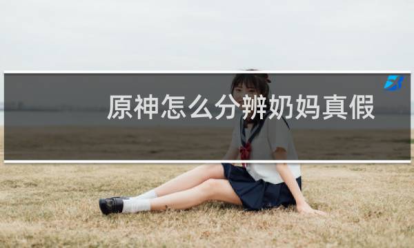 原神怎么分辨奶妈真假