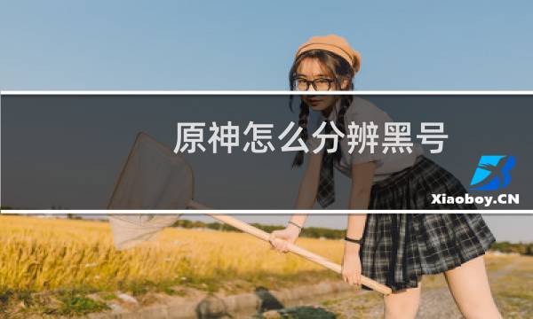 原神怎么分辨黑号