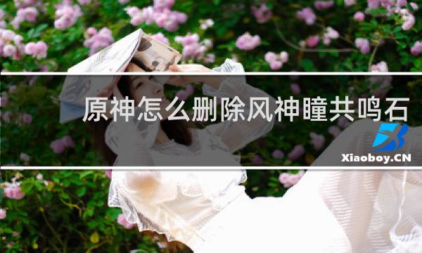 原神怎么删除风神瞳共鸣石