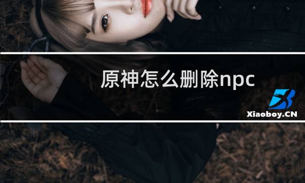 原神怎么删除npc