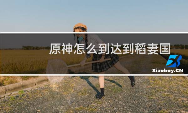 原神怎么到达到稻妻国