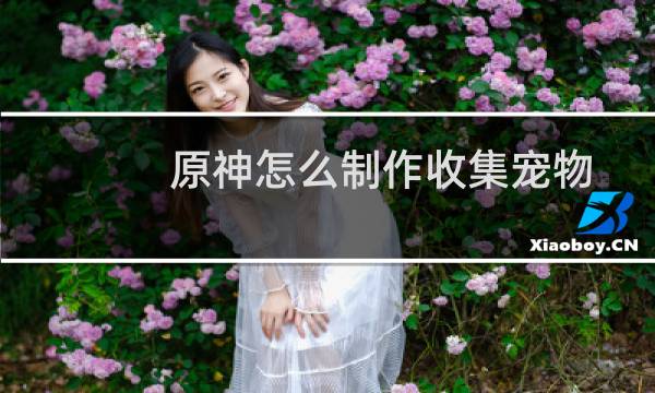 原神怎么制作收集宠物