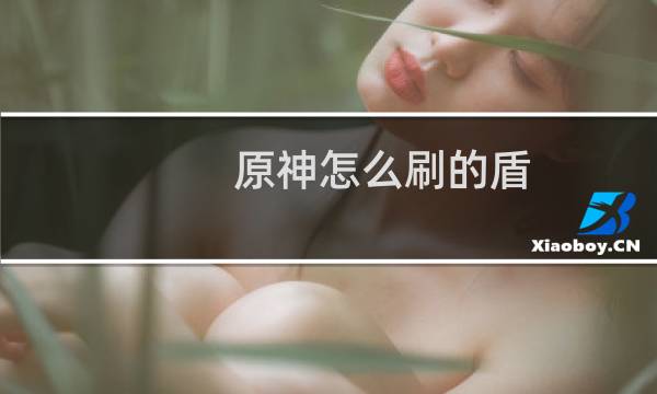 原神怎么刷的盾