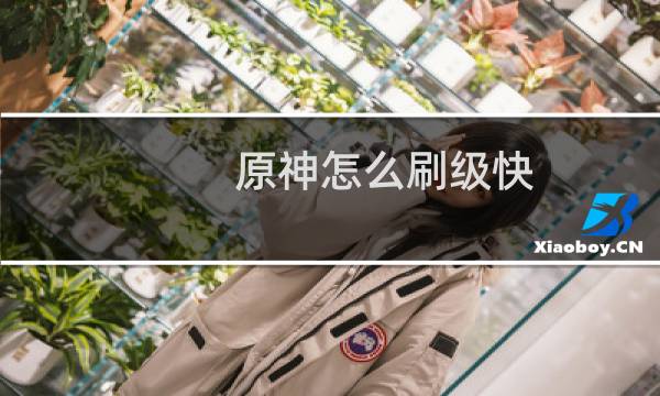 原神怎么刷级快