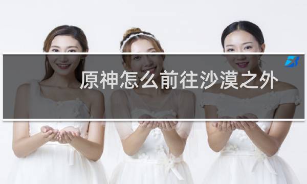 原神怎么前往沙漠之外