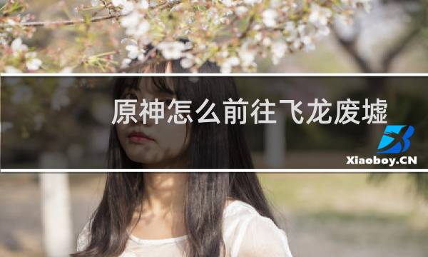 原神怎么前往飞龙废墟
