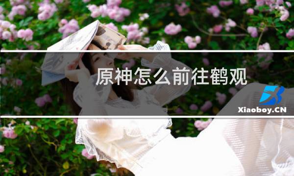 原神怎么前往鹤观