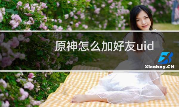 原神怎么加好友uid