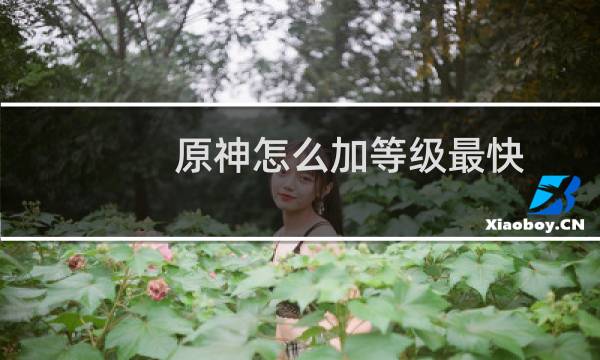 原神怎么加等级最快