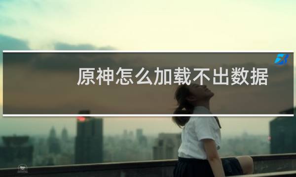 原神怎么加载不出数据
