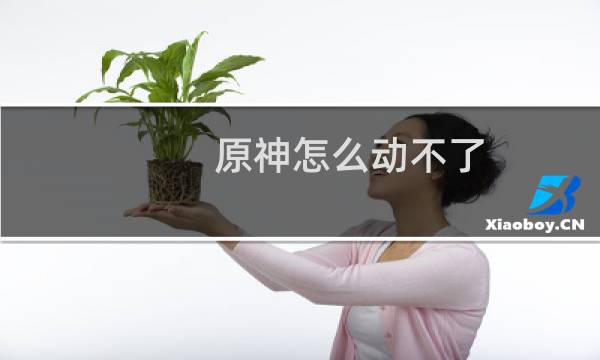 原神怎么动不了
