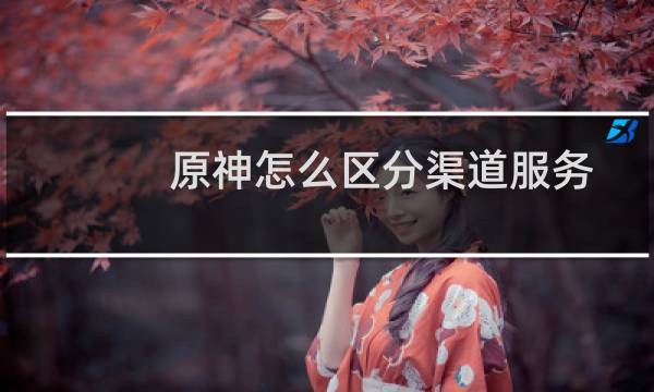 原神怎么区分渠道服务