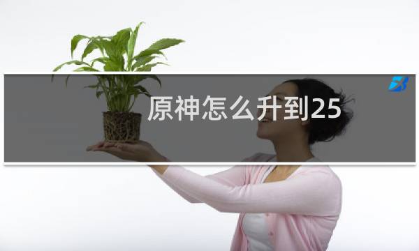 原神怎么升到25