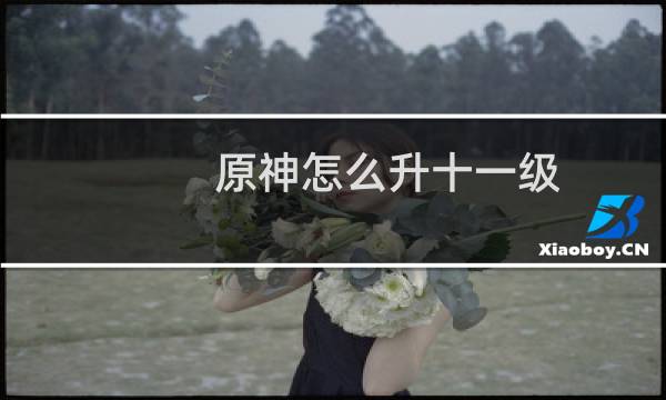 原神怎么升十一级