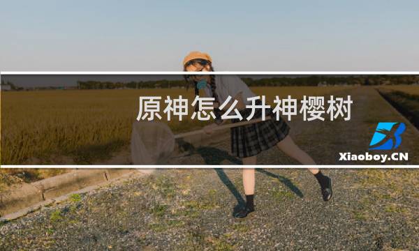 原神怎么升神樱树